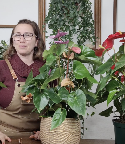 Anthurium_Antonella Podda Academy